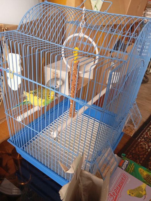 Продам    продам