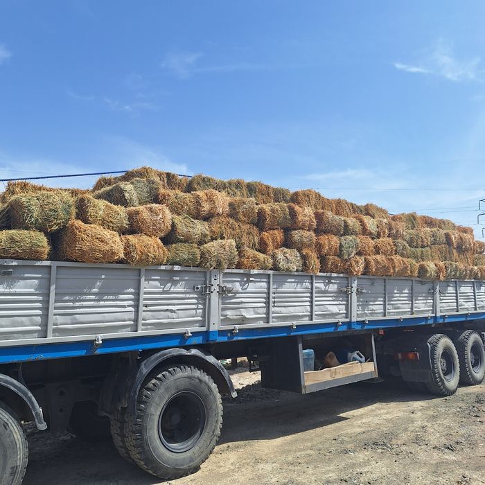 Сено Люцерна Шоп Жонышка