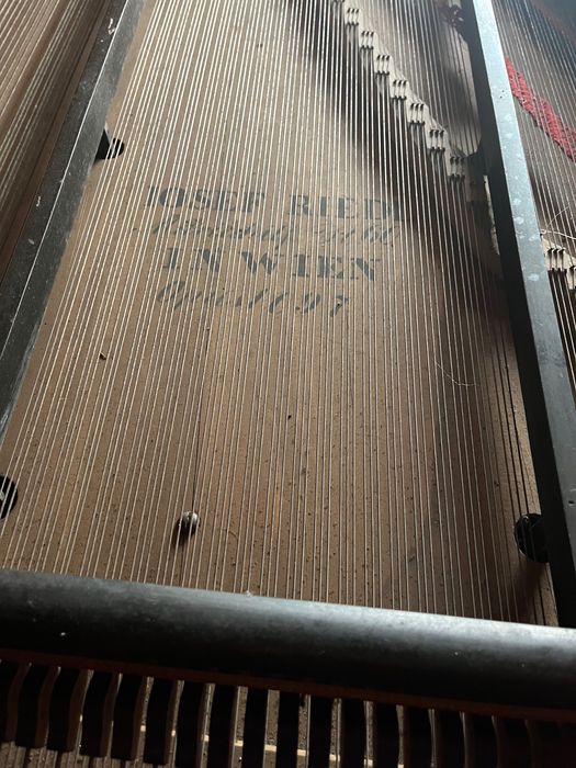 Vand Pian Josef Riedl in Wien