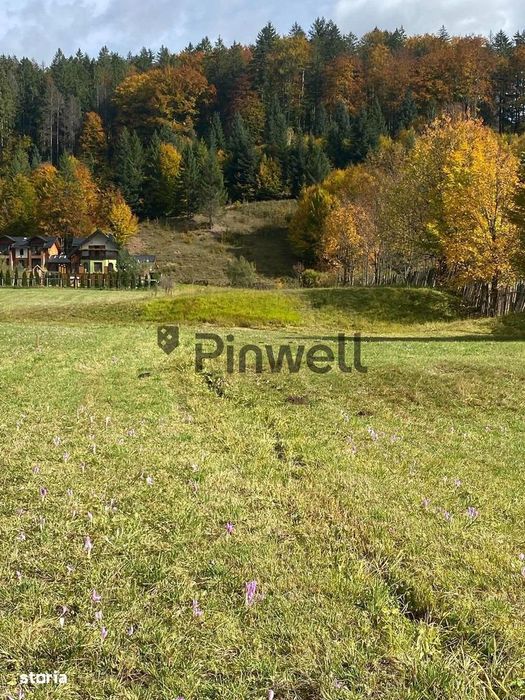 Teren intravilan 4.100 mp de vânzare | Voroneț | Zonă deosebită