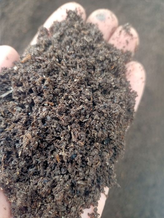 Biogumus va Kaliforniya chuvalchangi