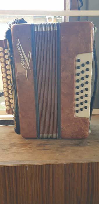 Гормошка "Чайка"