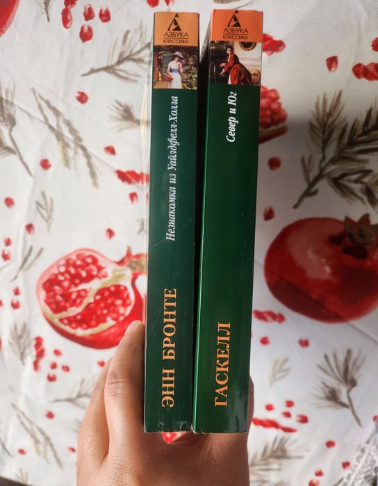 "Незнакомка из Уайлдфелл-холла" и "Север и Юг"