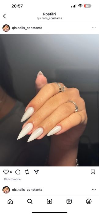 Unghii cu gel diferite modele .