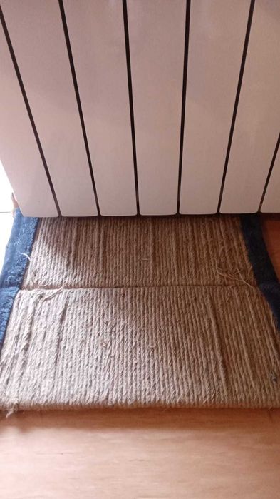 Зооняня для кошечек