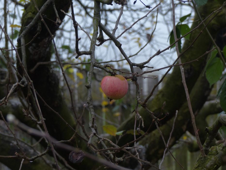 Panasonic Lumix DMC-FZ200 – Stare parțial functional, 24x zoom optic,