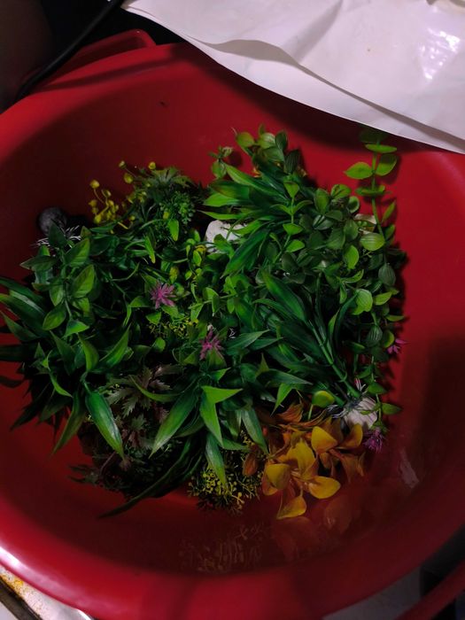 Аквариум с рыбами. СРОЧНО!!!