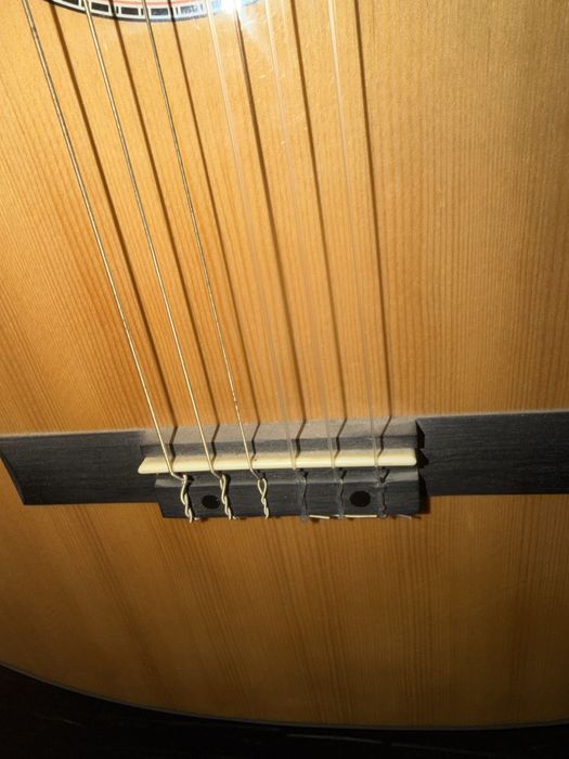 Играющи гитара.