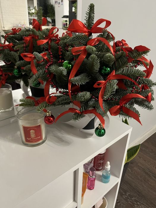 Новогодние композиции из нобилиса