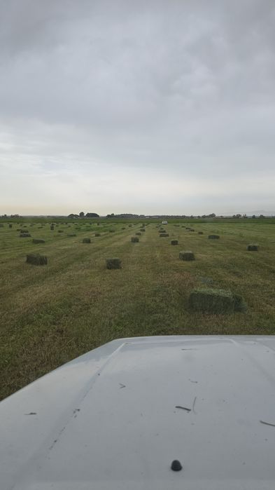Сено люцерно равнотравие обращайтесь