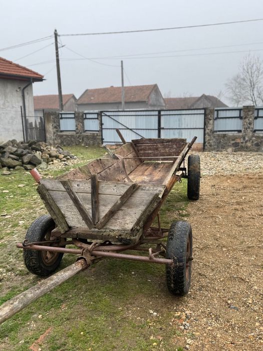 Vand caruta si ham cai