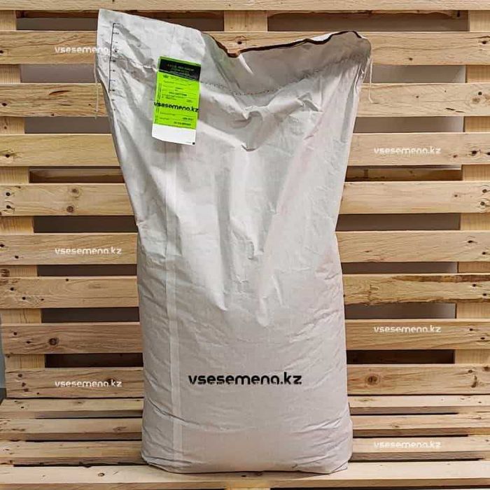 Универсальный газон. 5 видов