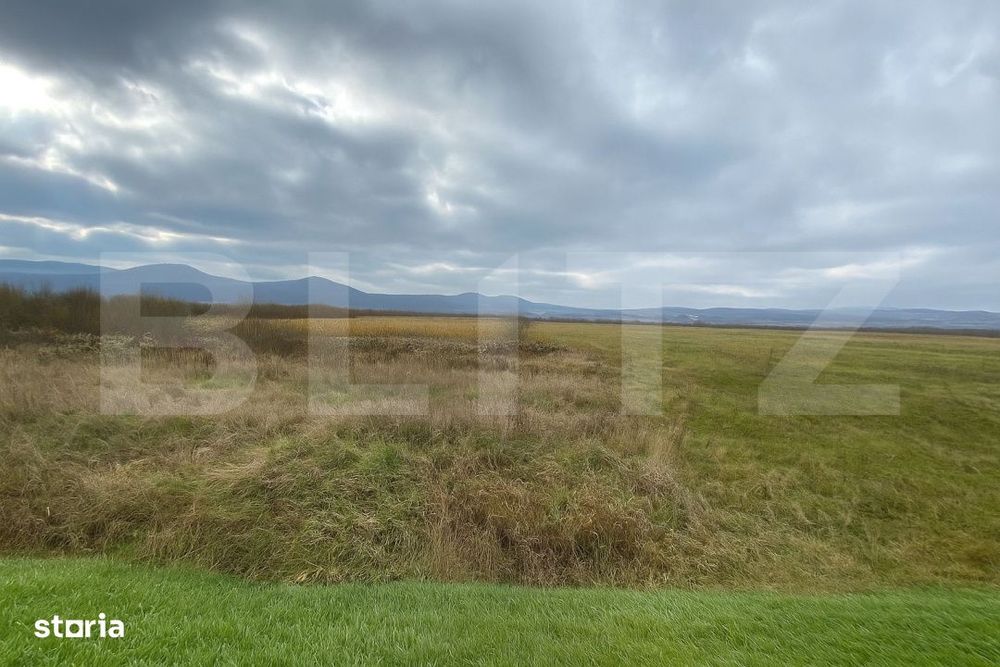 Teren de vanzare – 1,5 hectare, la drumul european, utilitati la fro