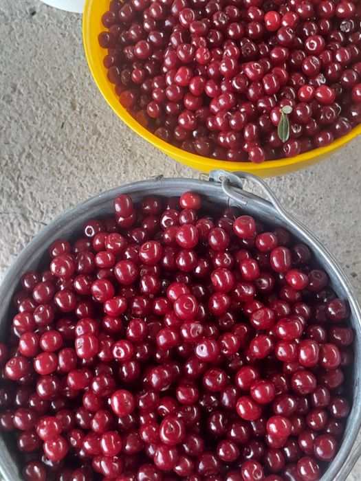 Вишня в забадаме