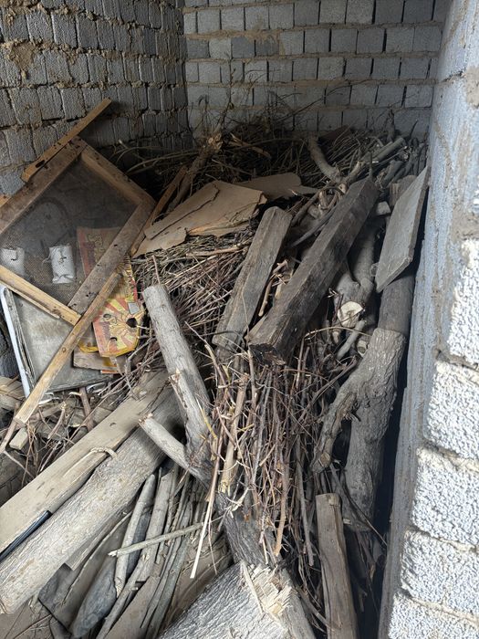 Дрова безплатно