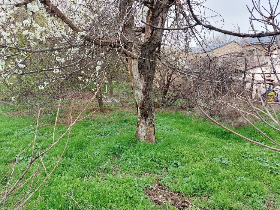 Центр Луначарский продается земельный участок 17-соток