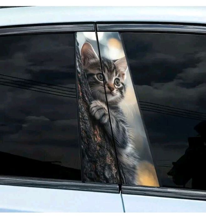 Винилови водоустойчиви стикери за кола