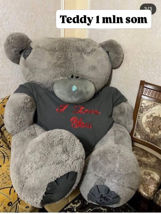 Teddy ayiq kottasi