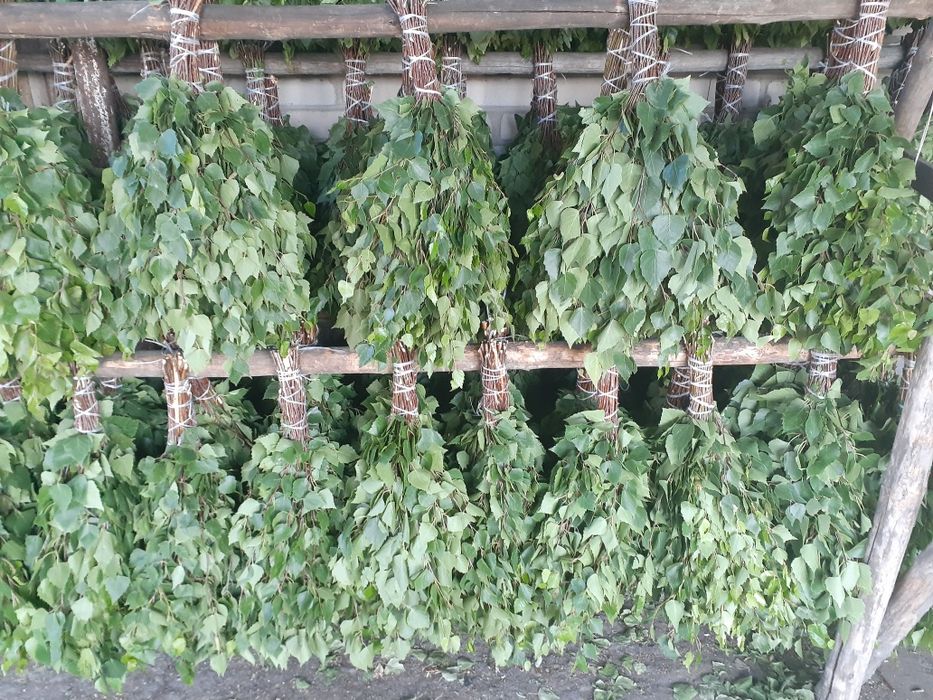 Березовые веники