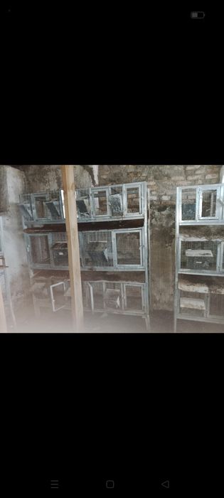 Клетки для кроликов