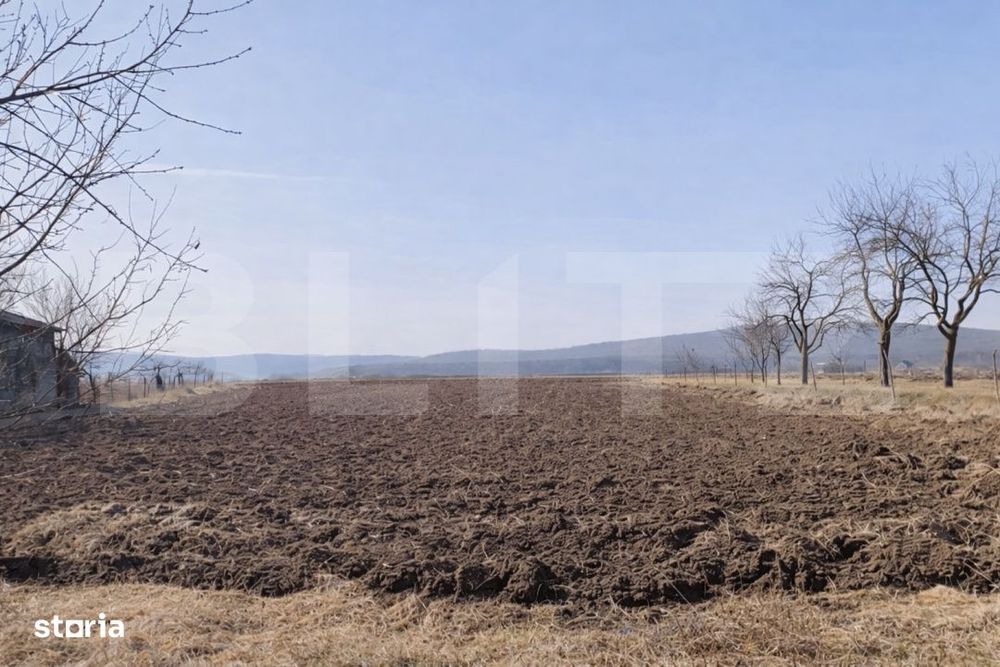 Casa + 23 ari teren in Breaza, Liniste, spatiu si confort la 6 km de R