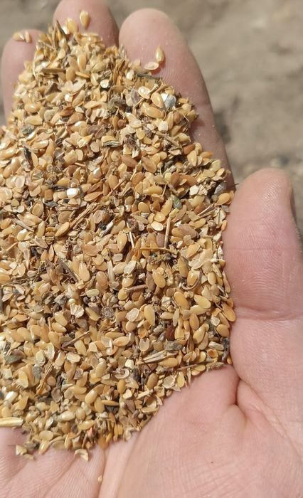 Зерноотходы.Платный чат! Все корма.