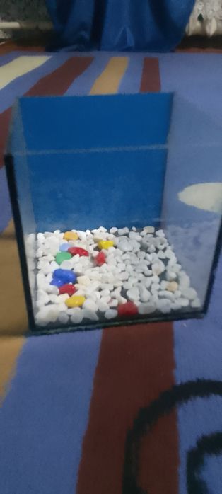 Аквариум  кубик 3 литра  за 3000