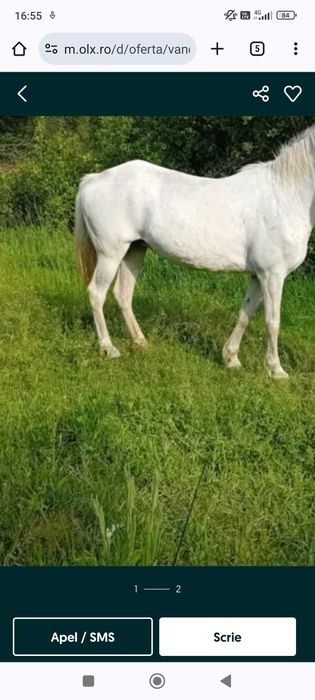 Vând iApa culoare alba