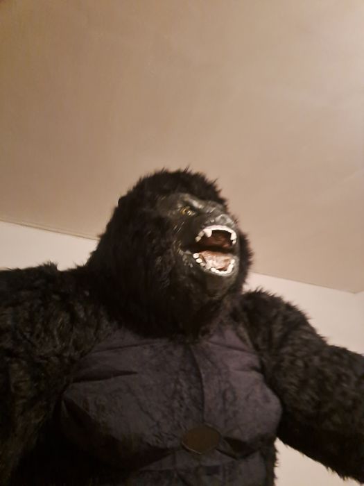 Воздушний мишка Аниматор