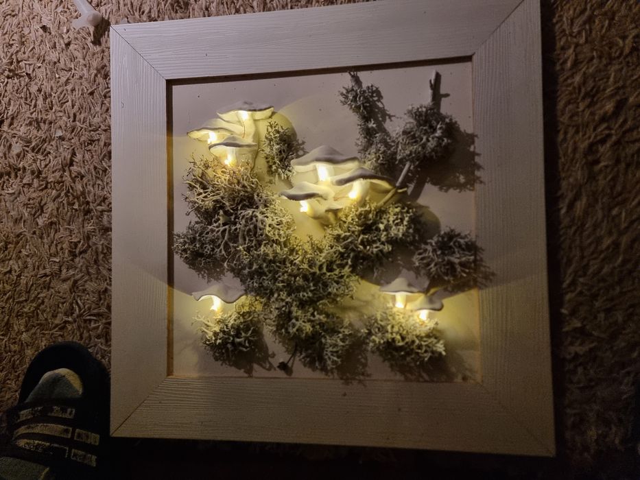 Tablou cu licheni si ciuperci din lut iluminate