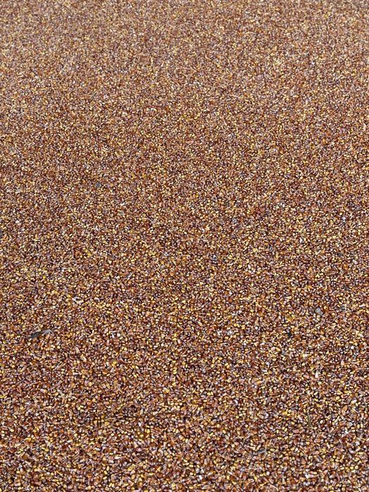 Porumb boabe recolta 2024