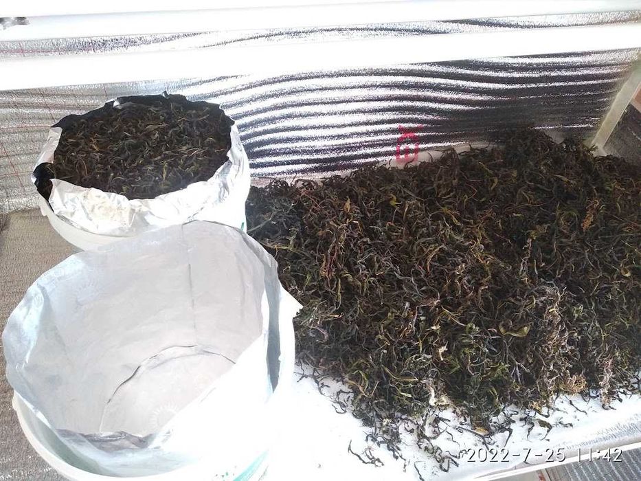 Иван-чай,  кипрей  ферментированный. Листовой.