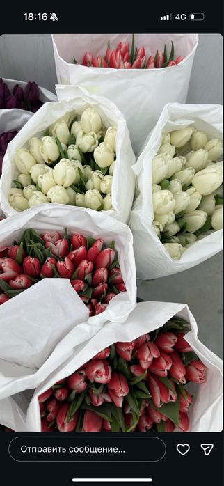 Тюльпан букеты, корпаративные букеты