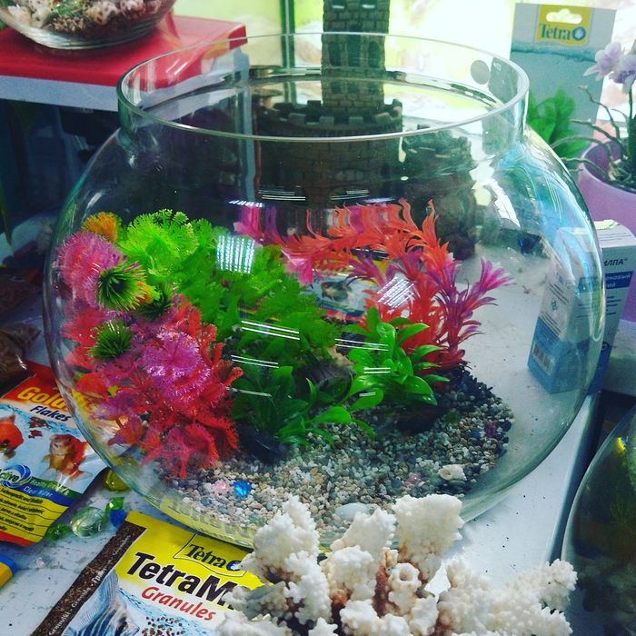 Фильтр аквариумный