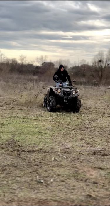 Grizzly de 500 cu acte