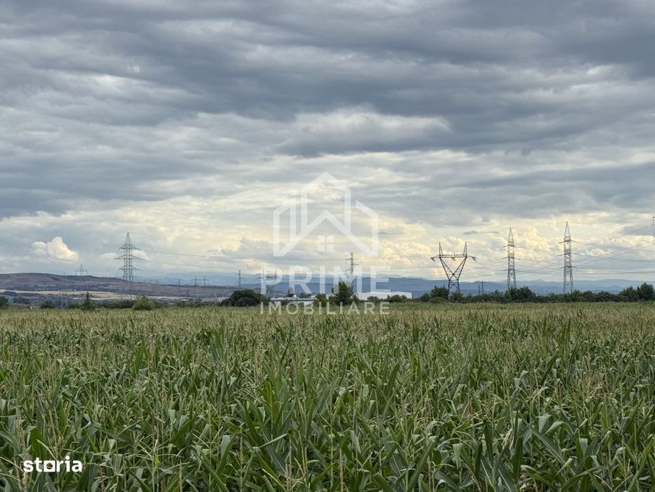Teren Extravilan | 7.000 MP | DNCALB | Alba Iulia