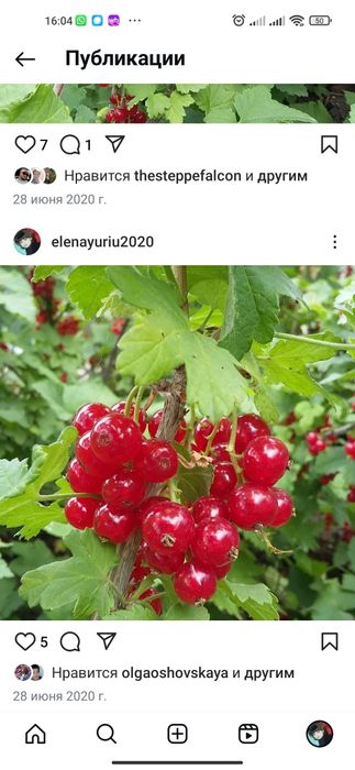 Продам дачу, район 2ая дачная, направо