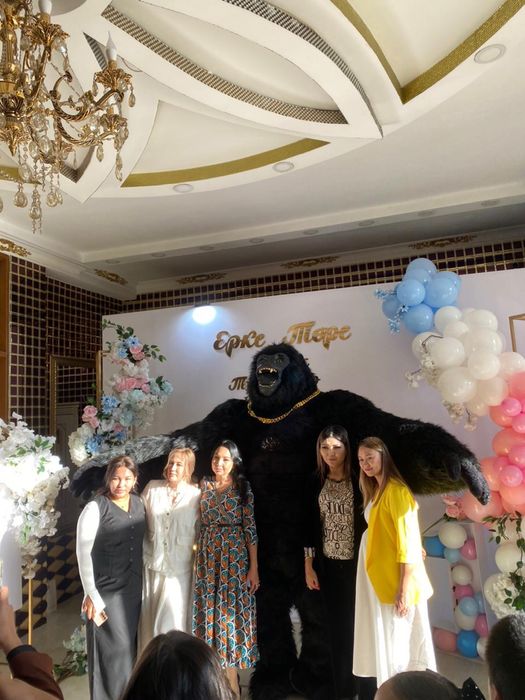 Горилла кин конг