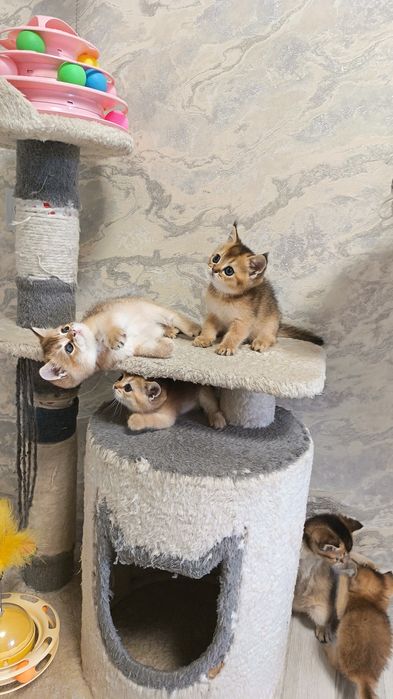 Милые прекрасные малыши