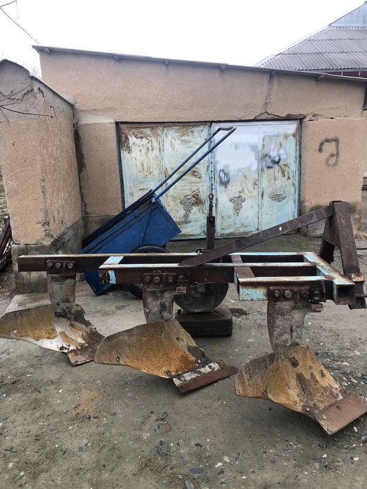 Pluk yaxshi holatda!