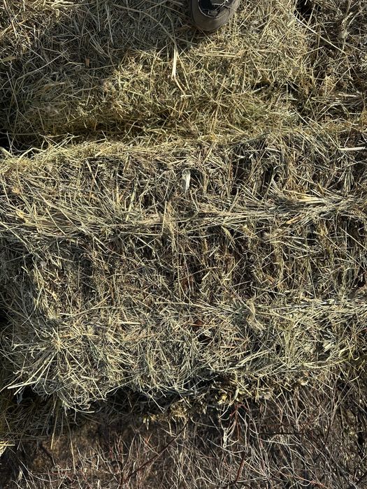 Шөп майда сатылады пресс хороший