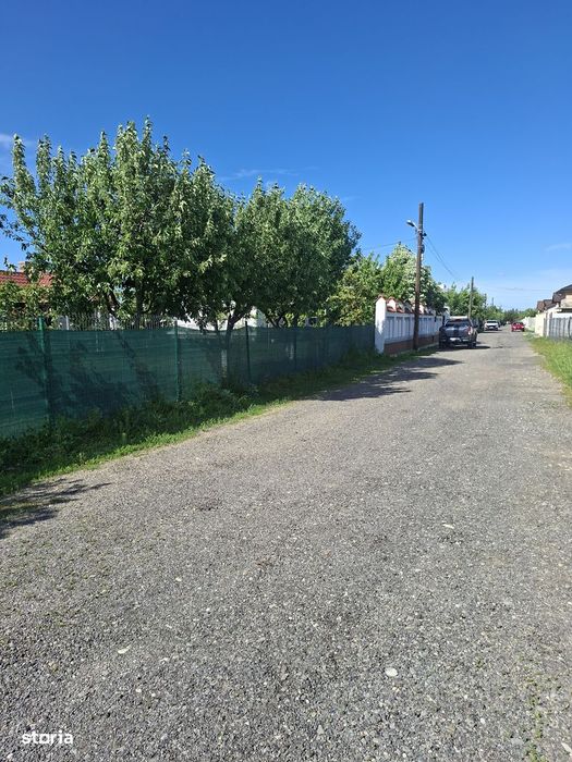 Cornetu, Teiului, Stradal