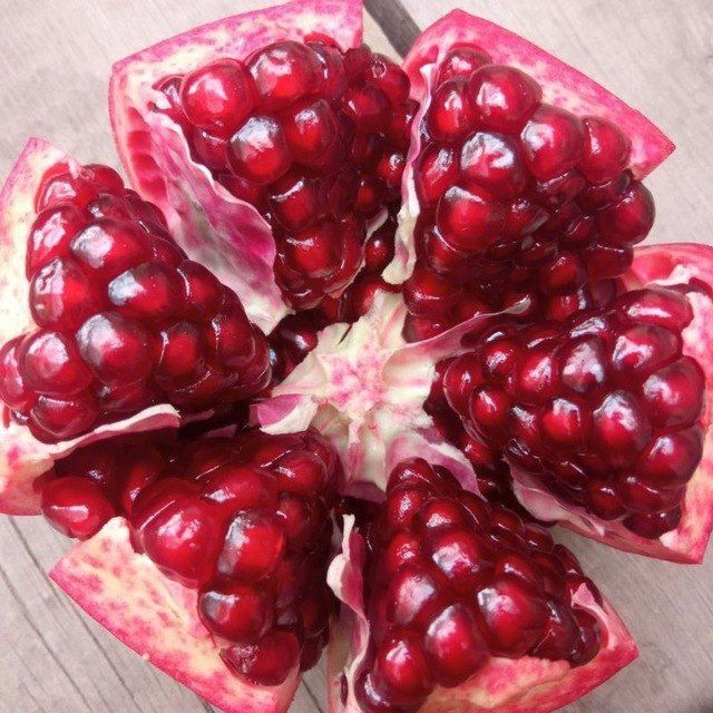 Anor ko'chatlari [Саженец граната]