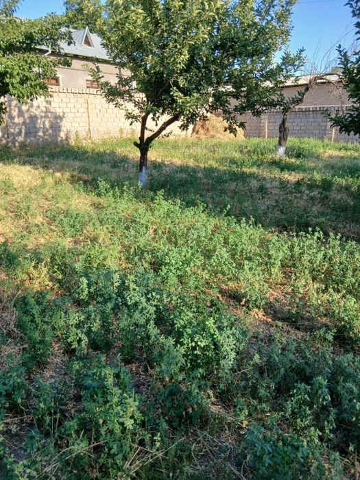 Бозсувдан 4, 6, 8, сотих ер сотилади!