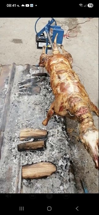 Чеверметата електрически