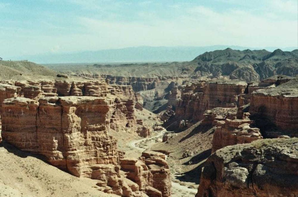 Кольсай, Чарын такси