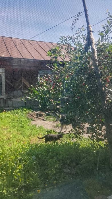 Продам дом район 14 школы