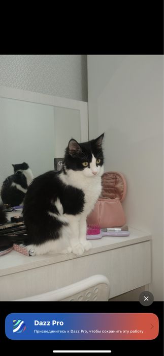 Прекрасная девочка)