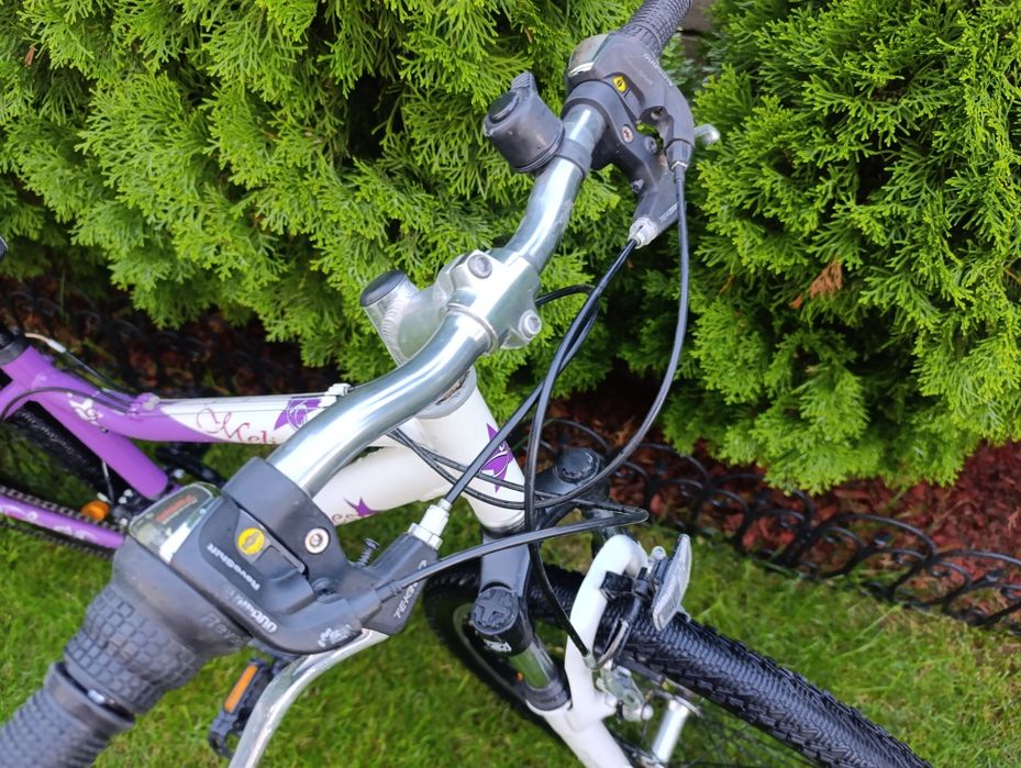 Алуминиево колело GENESIS MELISSA 24/S