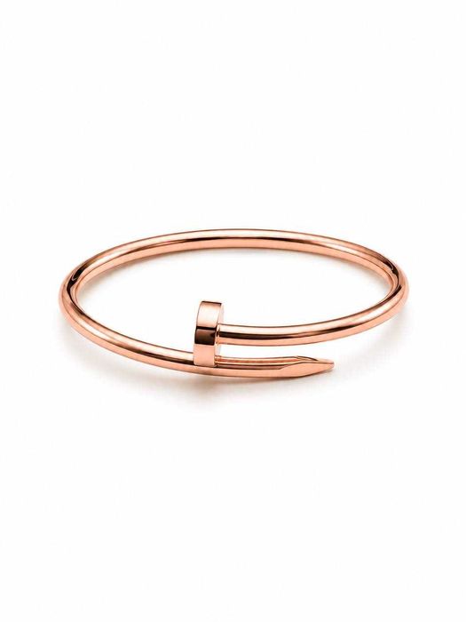 Браслет Cartier Juste un Clou 17